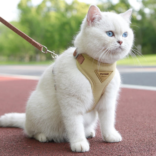 Breathable Cat & Puppy Harness and Leash Set