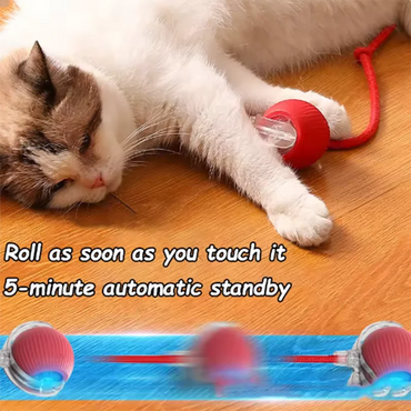 Automatic Interactive Cat Teaser Toy Set