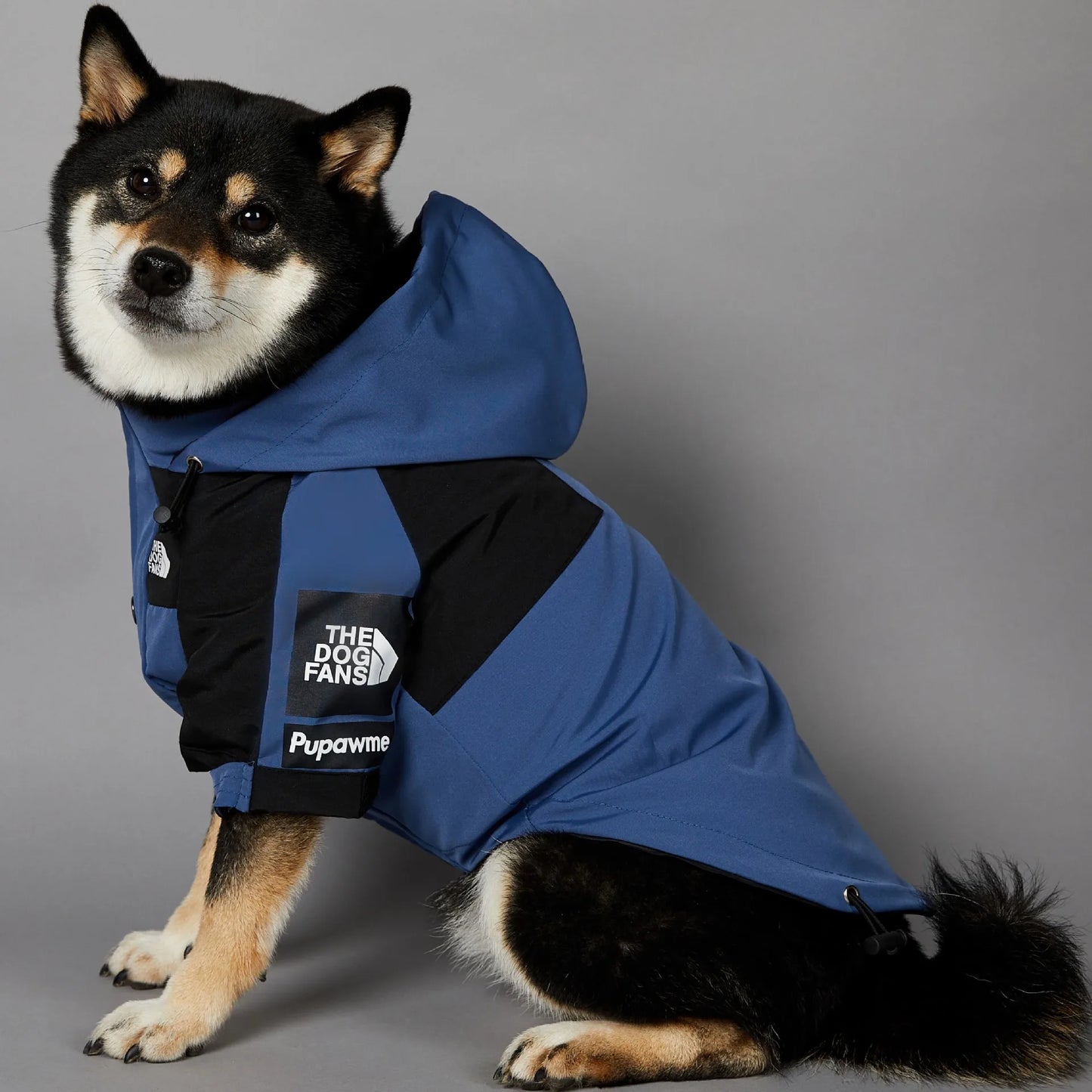 Luxury Waterproof Dog Raincoat Jacket (Mint)
