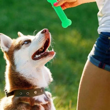 Rubber Dog Chew Toy for Aggressive Chewers