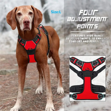 Leather Dog Collar, Harness & Leash Set