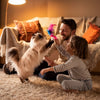 The Ultimate Guide to Raising a Happy Indoor Cat