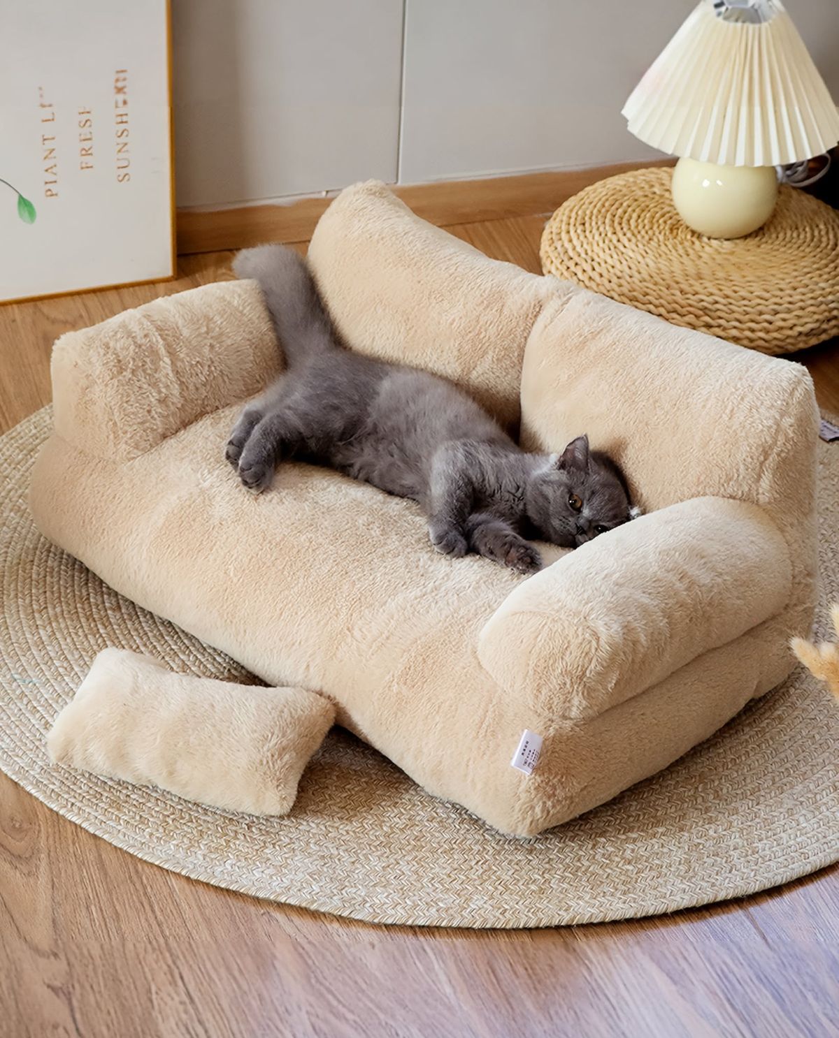 Beds and Mats