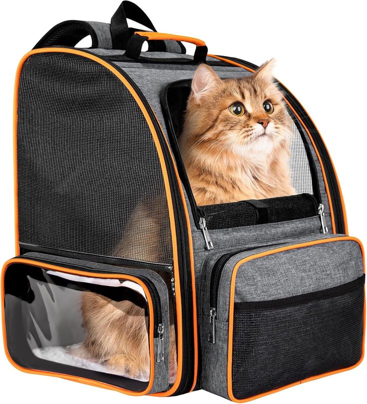 Carrier and Travel Bags
