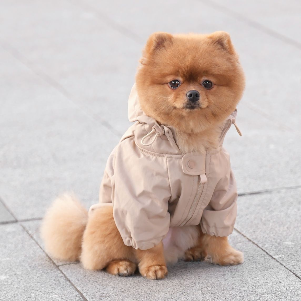 Winter Warmers