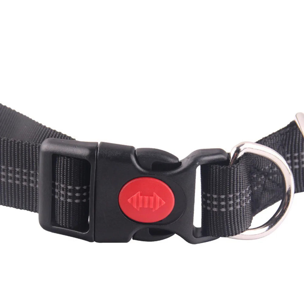 Hands-Free Retractable Dog Leash with Waist Belt