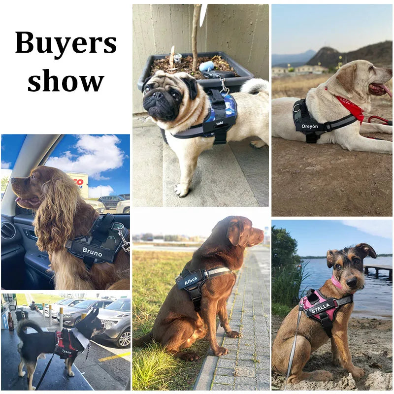 Personalized No-Pull Reflective Dog Harness Vest