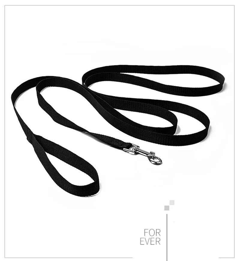 Extended Rope Dog Leash for Training & Running