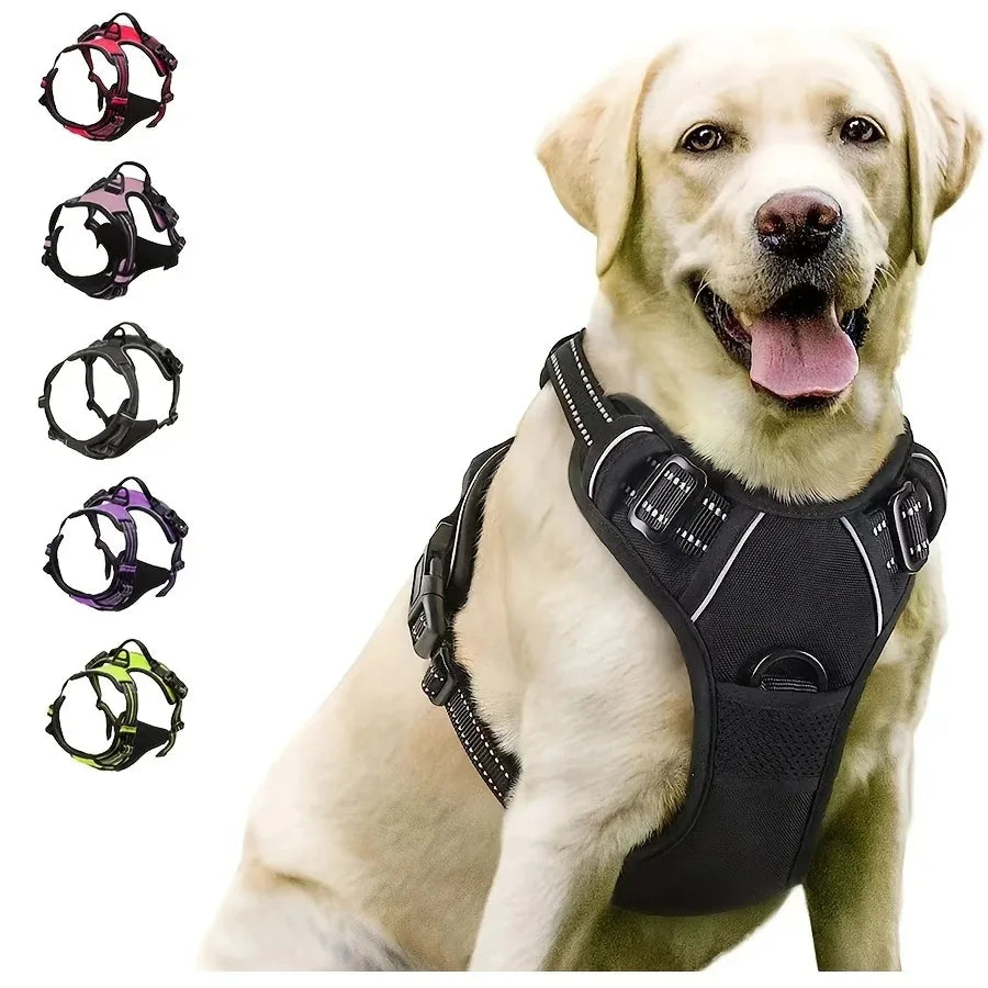 Leather Dog Collar, Harness & Leash Set