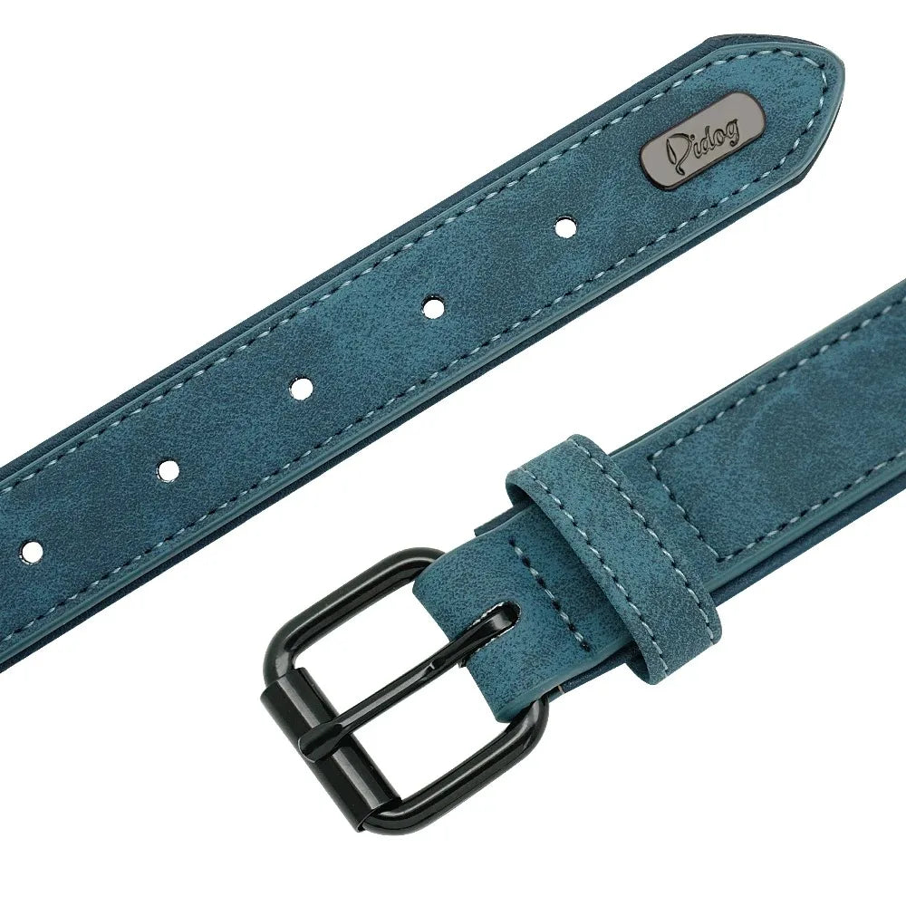 Personalized Leather Dog Collar with Name ID