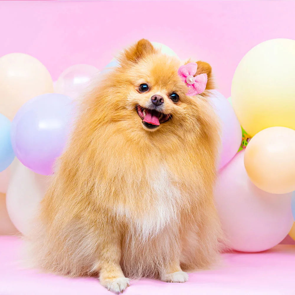 Lace & Pearl Pet Hair Bow Set (10pcs)
