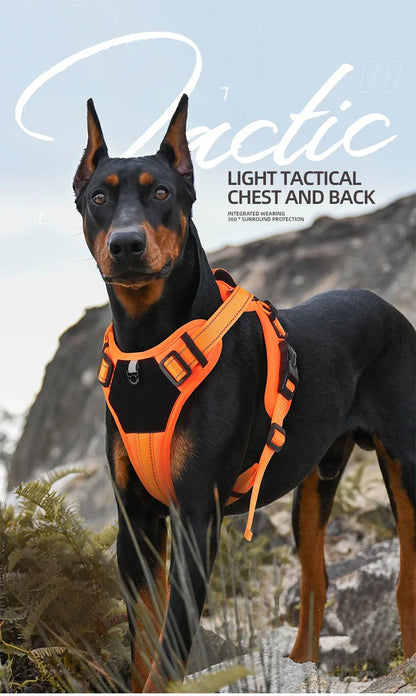 Multi-Functional Reflective No-Pull Dog Harness