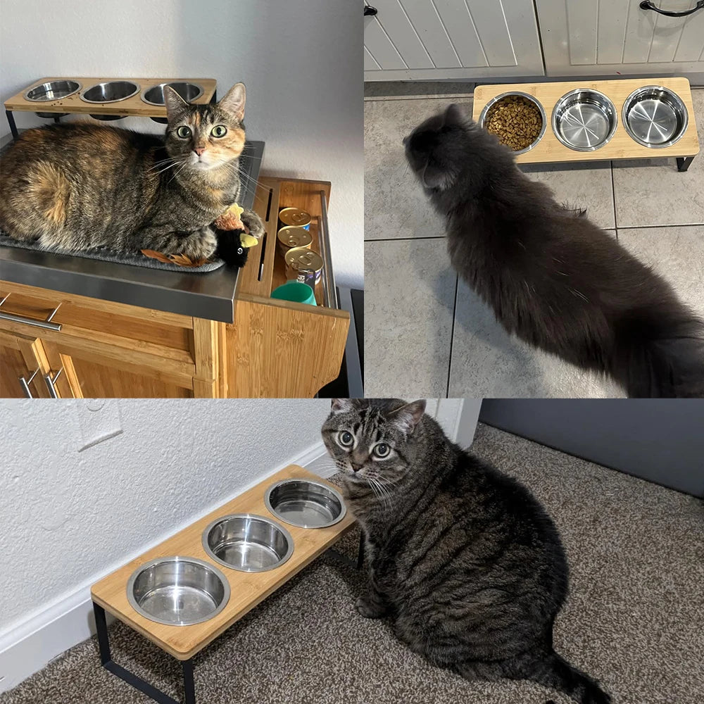 Elevated Cat Bowl Set with 3 Stainless Steel Bowls (15° Tilt)