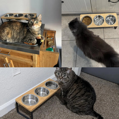 Elevated Cat Bowl Set with 3 Stainless Steel Bowls (15° Tilt)