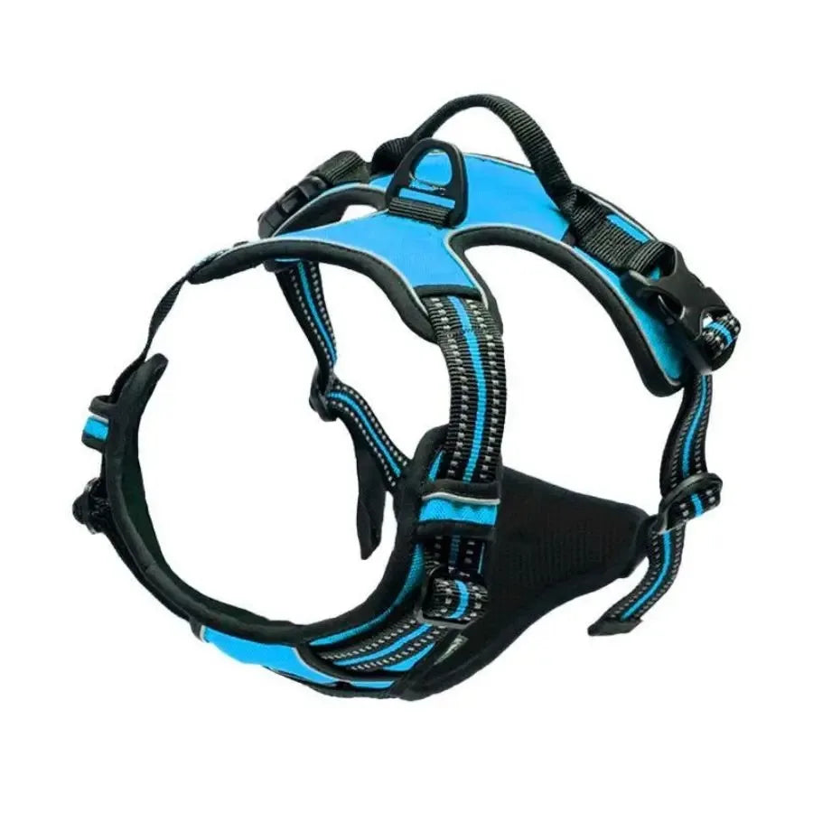 Leather Dog Collar, Harness & Leash Set