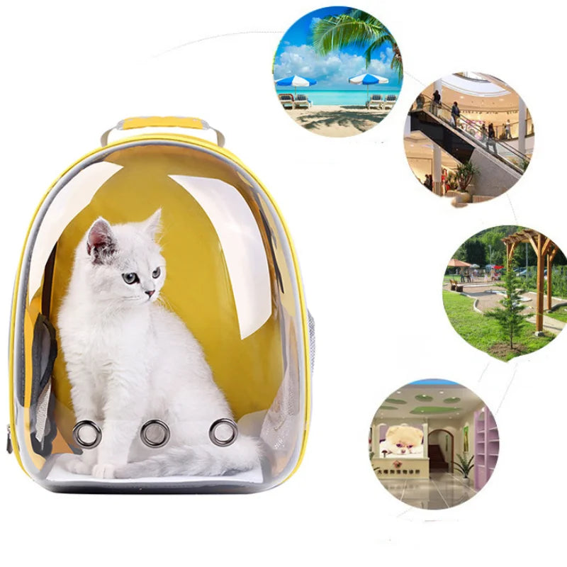 Transparent Pet Backpack Carrier