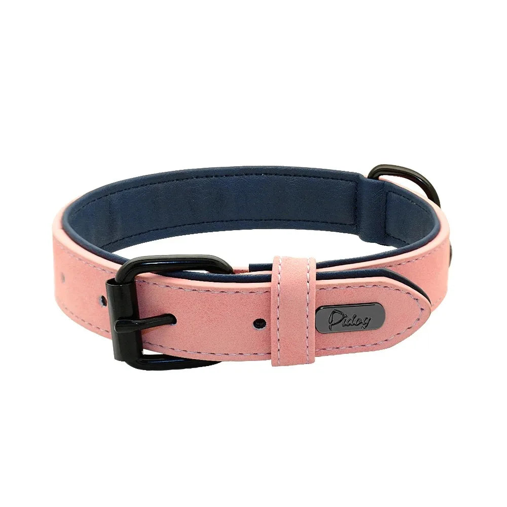 Personalized Leather Dog Collar with Name ID