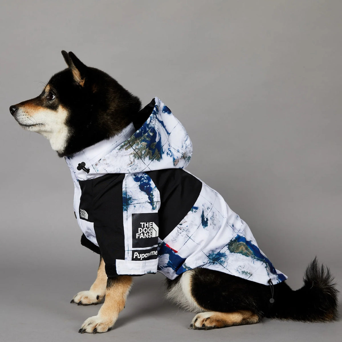Luxury Waterproof Dog Raincoat Jacket (Mint)