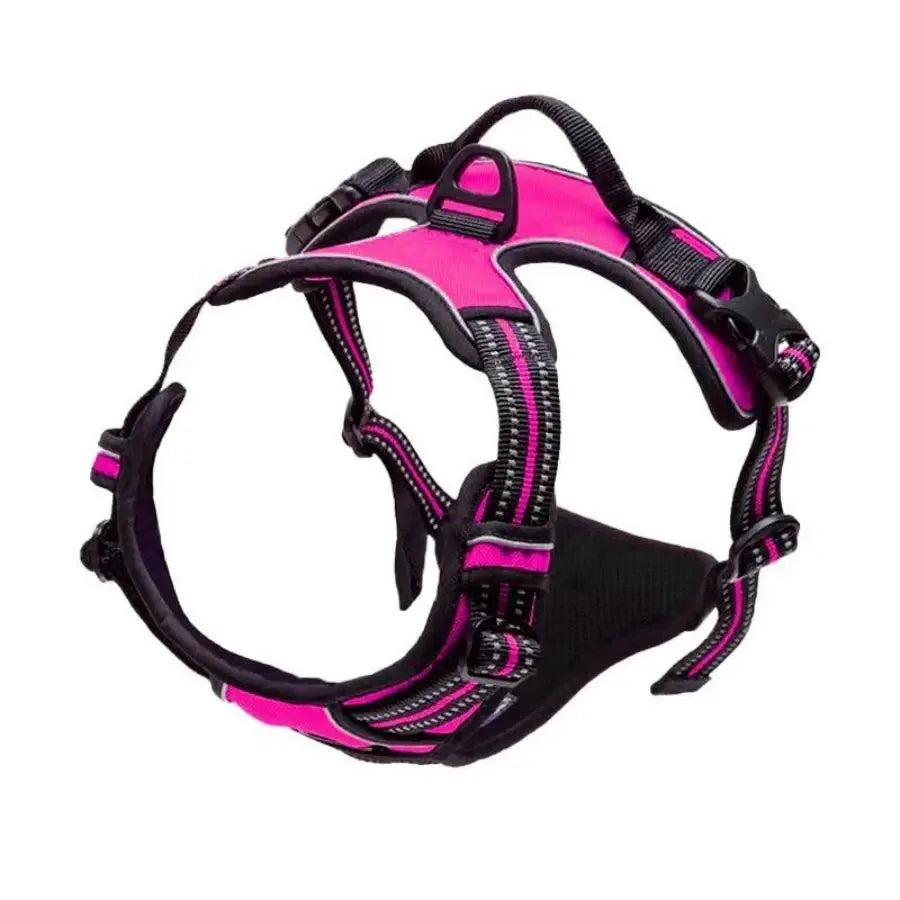 Leather Dog Collar, Harness & Leash Set