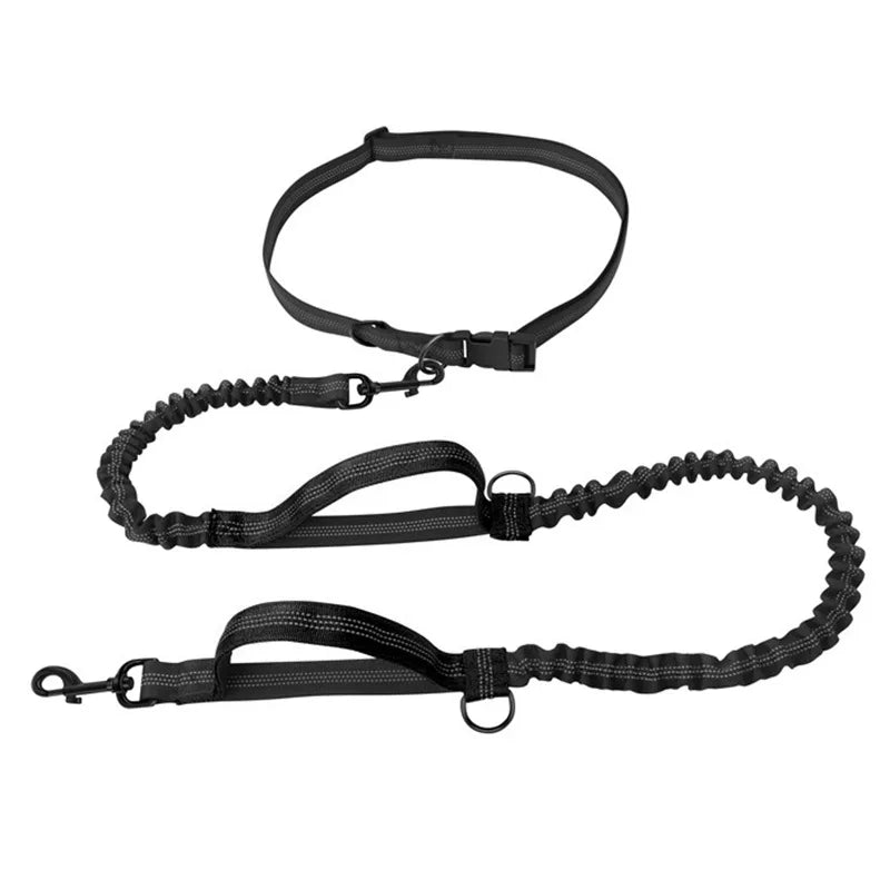 Reflective Elastic Running Dog Leash