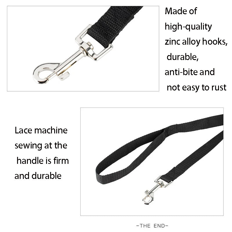 Extended Rope Dog Leash for Training & Running