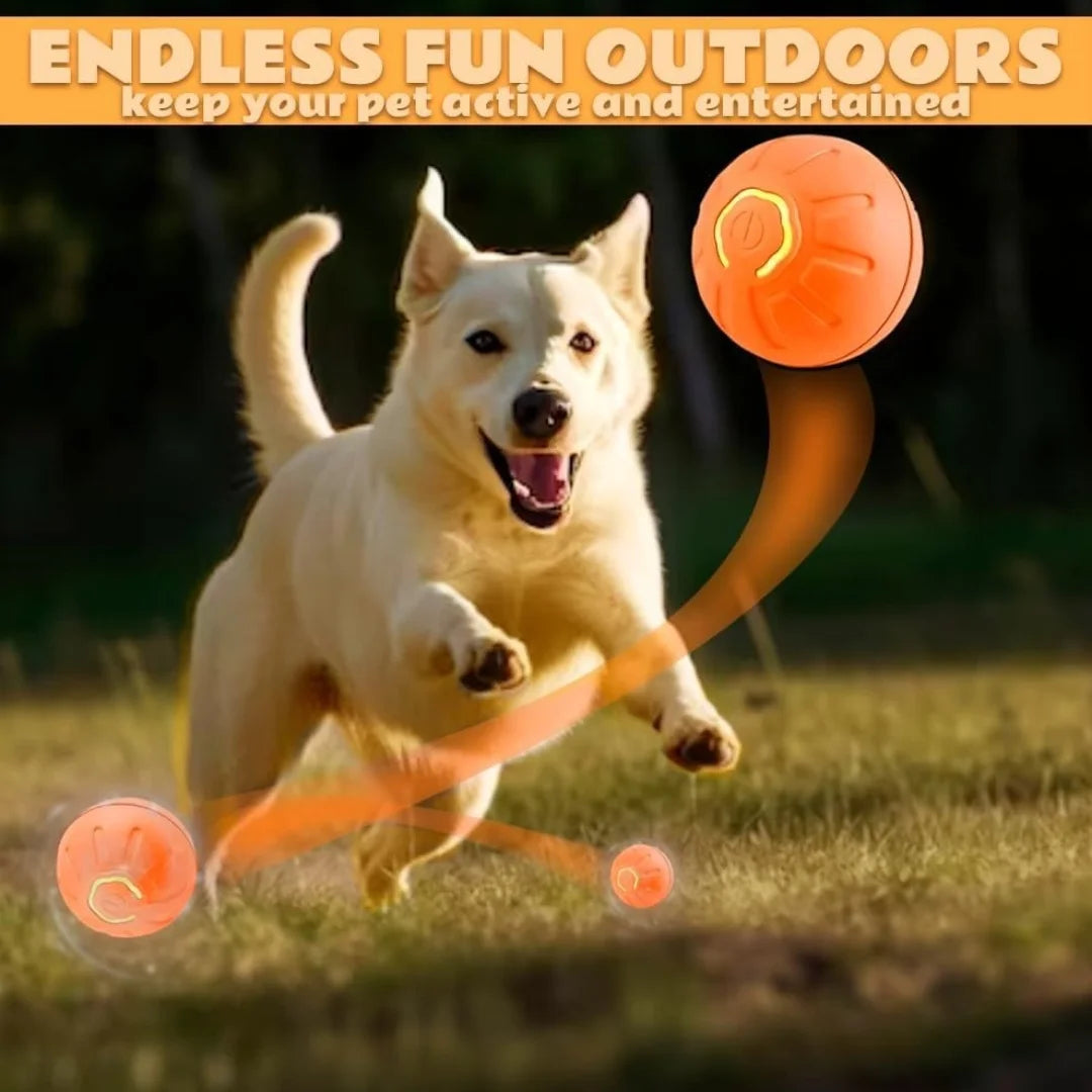Electric Bouncing Smart Pet Ball for Dogs & Cats