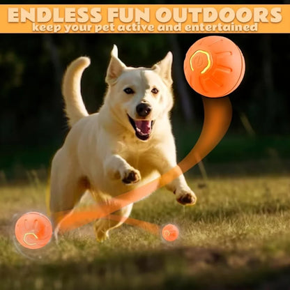 Electric Bouncing Smart Pet Ball for Dogs & Cats