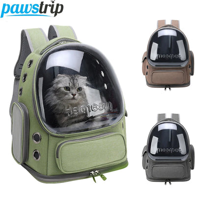 Transparent Pet Carrier Backpack for Cats & Small Dogs