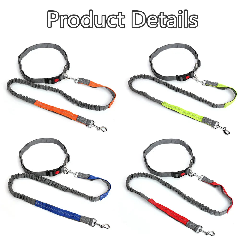 Hands-Free Retractable Dog Leash with Waist Belt