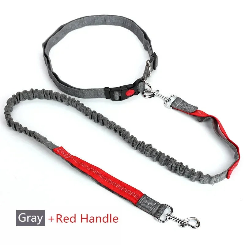 Hands-Free Retractable Dog Leash with Waist Belt