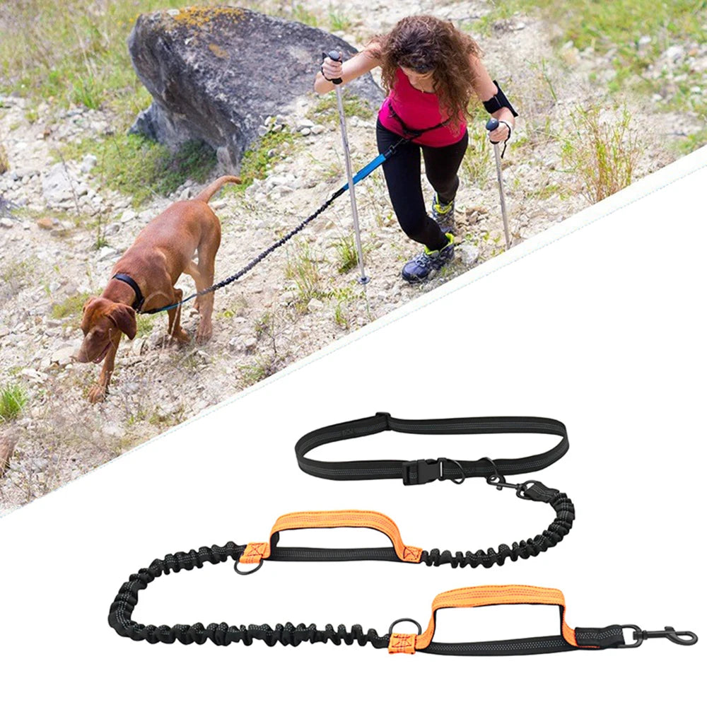 Reflective Elastic Running Dog Leash