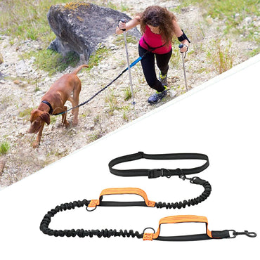 Reflective Elastic Running Dog Leash