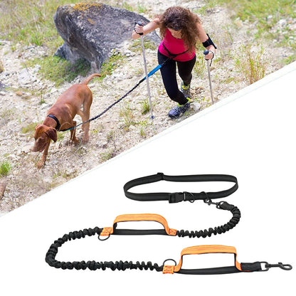 Reflective Elastic Running Dog Leash