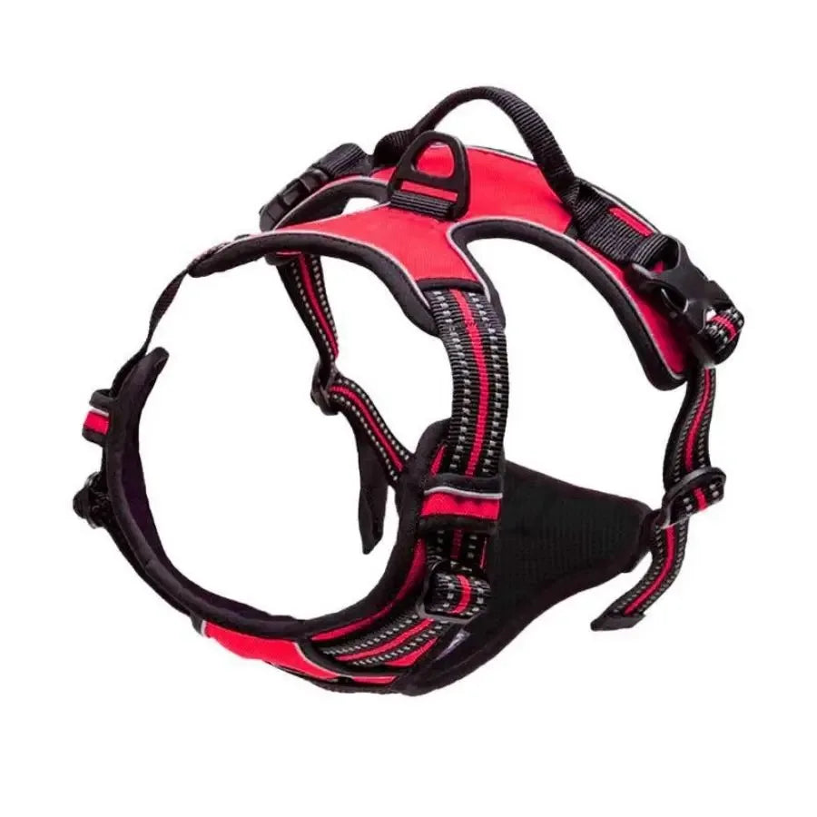 Leather Dog Collar, Harness & Leash Set