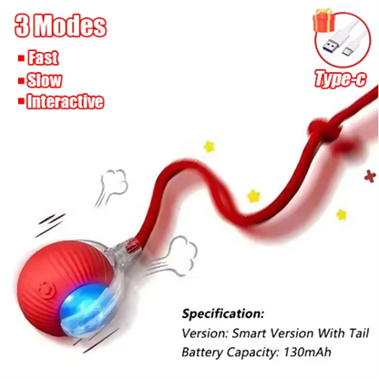 Automatic Interactive Cat Teaser Toy Set