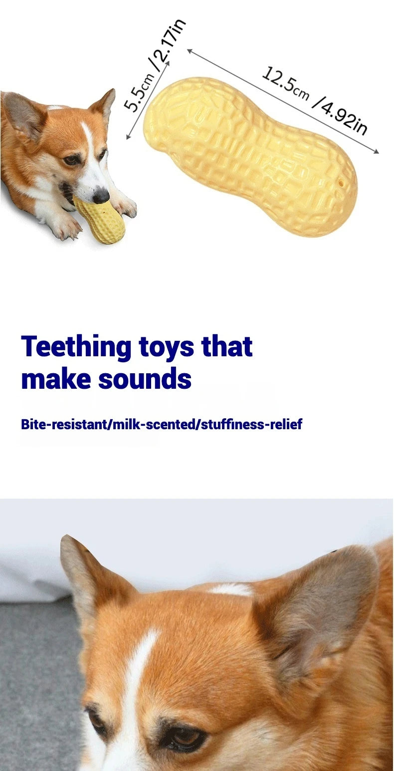 TPR Peanut Shape Squeaky Dog Chew Toy