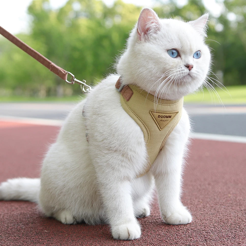 Breathable Cat & Puppy Harness and Leash Set