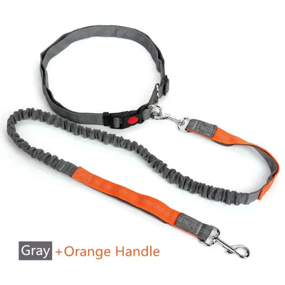Hands-Free Retractable Dog Leash with Waist Belt