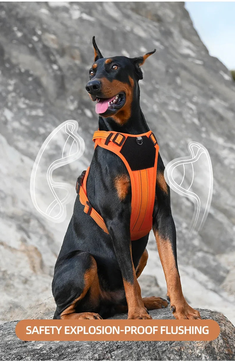 Multi-Functional Reflective No-Pull Dog Harness