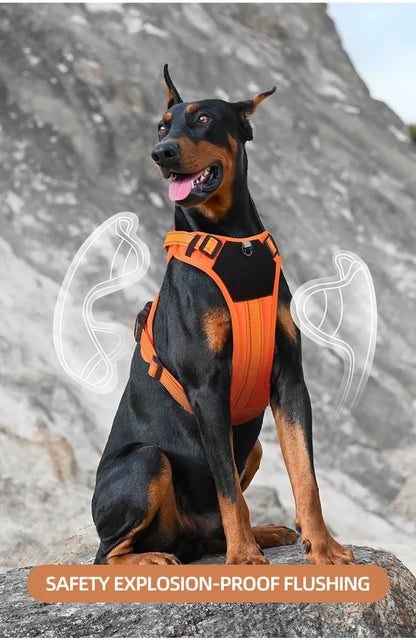 Multi-Functional Reflective No-Pull Dog Harness