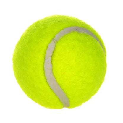 Giant Inflatable Tennis Ball Dog Toy with Pump