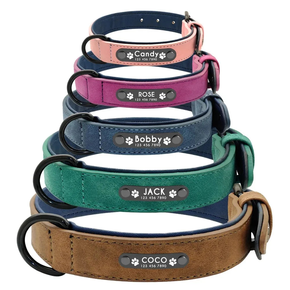 Personalized Leather Dog Collar with Name ID