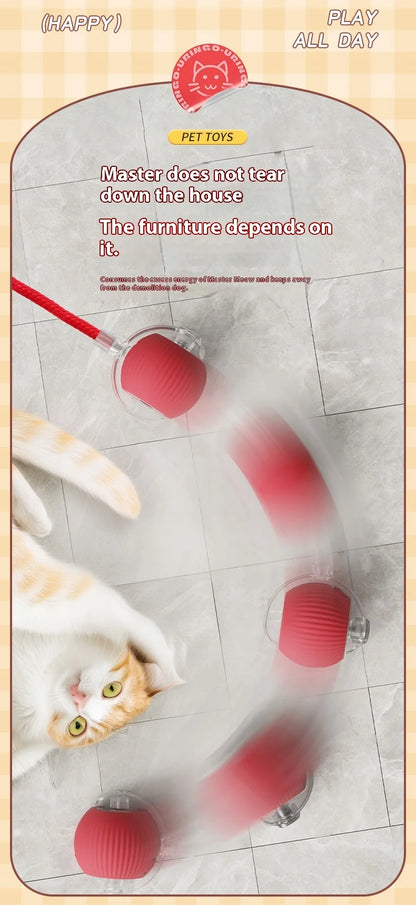 Smart Interactive Cat Rolling Ball Toy (2-Pack)