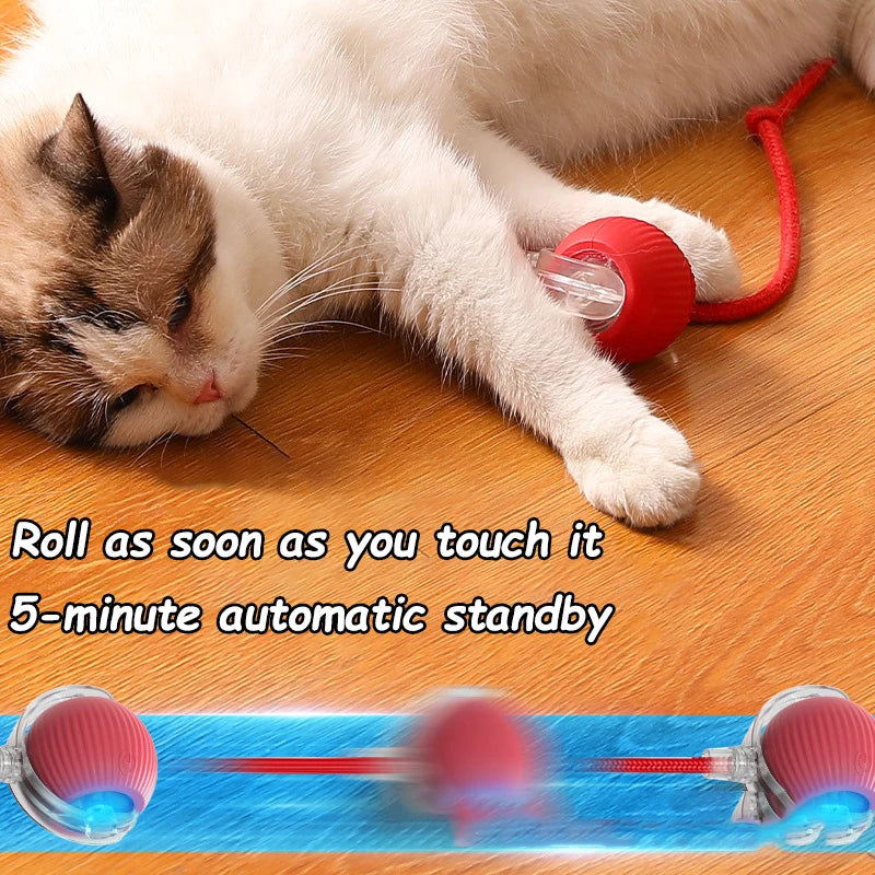 Smart Interactive Cat Rolling Ball Toy (2-Pack)
