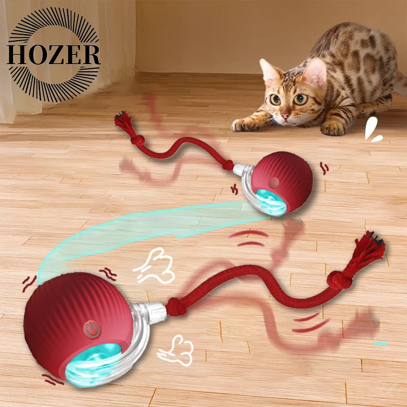 Smart Interactive Cat Rolling Ball Toy (2-Pack)