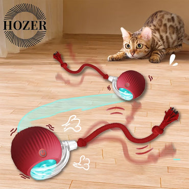 Smart Interactive Cat Rolling Ball Toy (2-Pack)