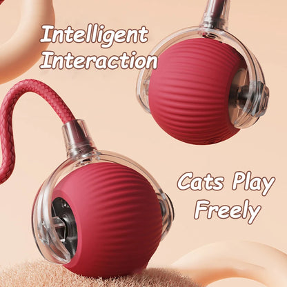 Smart Interactive Cat Rolling Ball Toy (2-Pack)