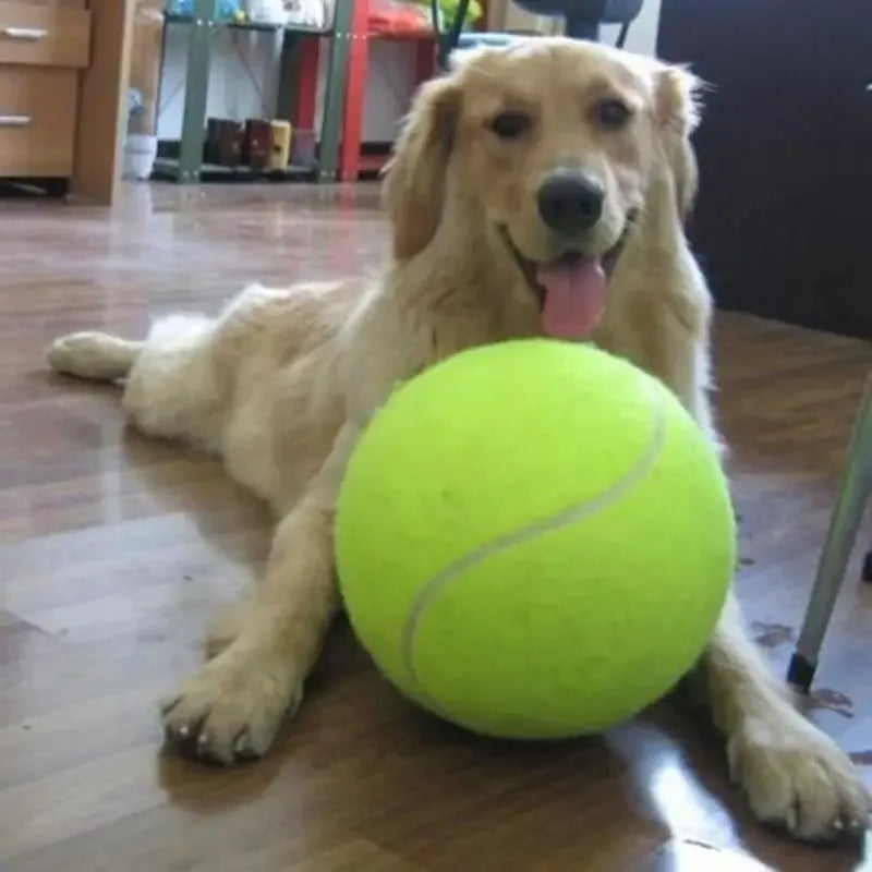 Giant Inflatable Tennis Ball Dog Toy with Pump