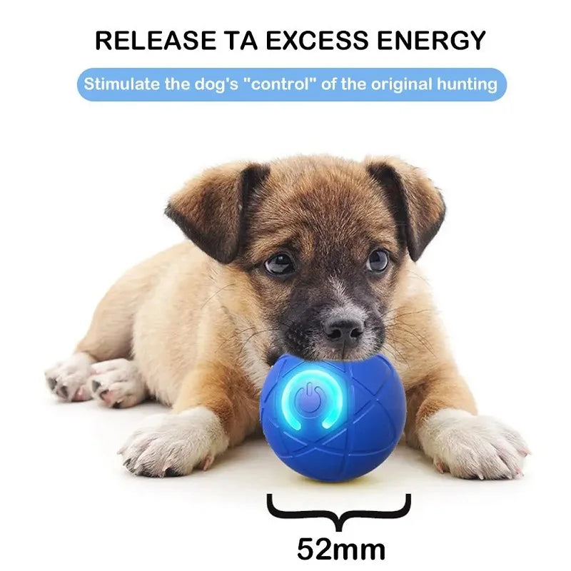 Rechargeable Automatic Rolling Dog Toy Ball