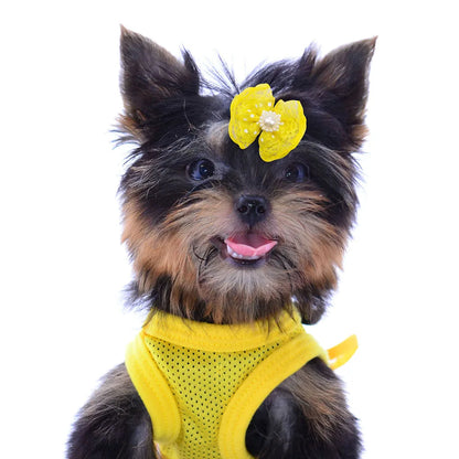 Lace & Pearl Pet Hair Bow Set (10pcs)